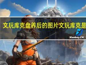 文玩庫克盤養后的圖片 文玩庫克是什么