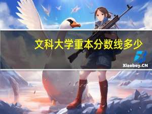 文科大学重本分数线多少