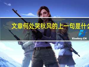 文章何处哭秋风的上一句是什么