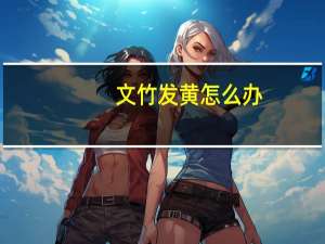 文竹发黄怎么办