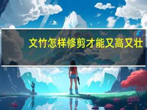 文竹怎样修剪才能又高又壮