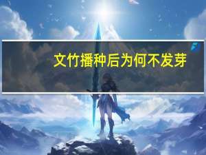 文竹播种后为何不发芽