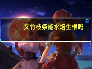 文竹枝条能水培生根吗