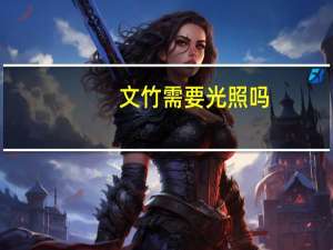 文竹需要光照吗
