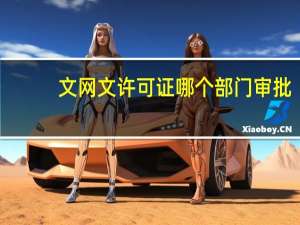 文网文许可证哪个部门审批（文网文经营许可证）