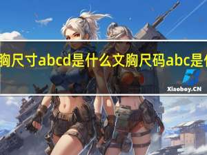 文胸尺寸abcd是什么 文胸尺码abc是什么意思