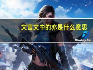文言文中的亦是什么意思
