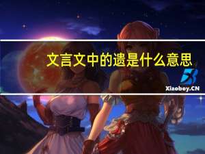 文言文中的遗是什么意思
