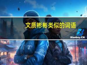 文质彬彬类似的词语