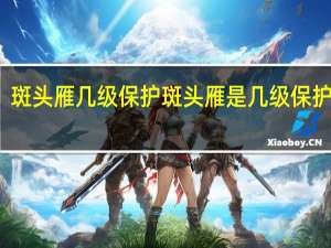 斑头雁几级保护 斑头雁是几级保护动物