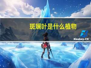 斑斓叶是什么植物