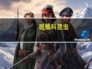 斑蛾科昆虫（斑纷舟蛾简介）