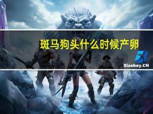 斑马狗头什么时候产卵（宝马gt什么意思）