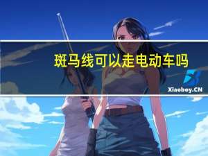 斑马线可以走电动车吗