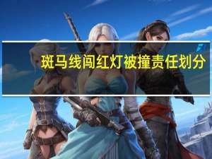 斑马线闯红灯被撞责任划分