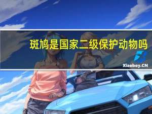 斑鸠是国家二级保护动物吗