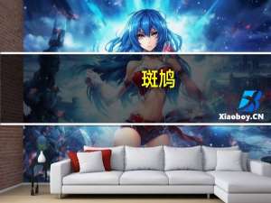 斑鸠（关于斑鸠的介绍）