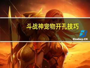 斗战神宠物开孔技巧