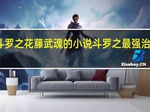 斗罗之花藤武魂的小说 斗罗之最强治疗武魂