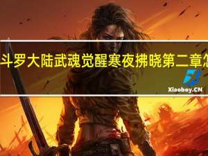 斗罗大陆武魂觉醒寒夜拂晓第二章怎么过-寒夜拂晓第二章攻略