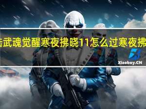 斗罗大陆武魂觉醒寒夜拂晓11怎么过 寒夜拂晓11过关阵容