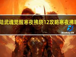 斗罗大陆武魂觉醒寒夜拂晓12攻略 寒夜拂晓12阵容搭配