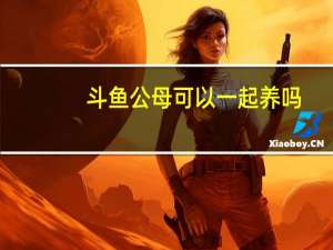 斗鱼公母可以一起养吗