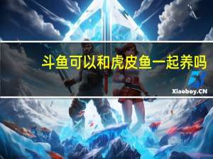 斗鱼可以和虎皮鱼一起养吗