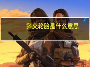 斜交轮胎是什么意思