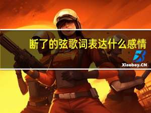 断了的弦歌词表达什么感情（断了的弦歌词）
