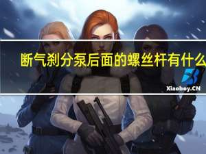 断气刹分泵后面的螺丝杆有什么用