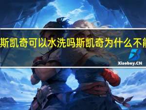 斯凯奇可以水洗吗 斯凯奇为什么不能水洗
