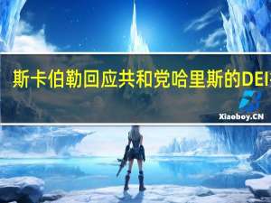 斯卡伯勒回应共和党哈里斯的DEI指责：简直是荒谬