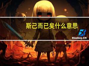 斯己而已矣什么意思