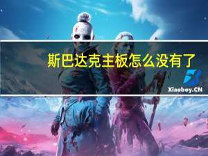 斯巴达克主板怎么没有了（斯巴达克主板）