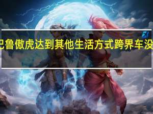 斯巴鲁傲虎达到其他生活方式跨界车没有的部分