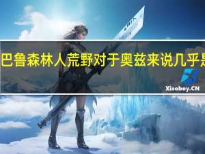 斯巴鲁森林人荒野对于奥兹来说几乎是肯定的
