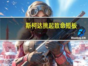斯柯达挑起致命短板