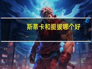 斯蒂卡和挺拔哪个好