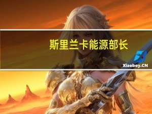 斯里兰卡能源部长：电力价格不会进行调整