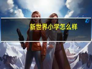 新世界小学怎么样