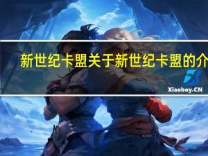 新世纪卡盟 关于新世纪卡盟的介绍