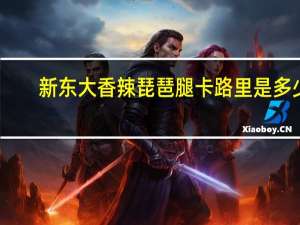 新东大 香辣琵琶腿卡路里是多少
