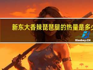 新东大 香辣琵琶腿的热量是多少
