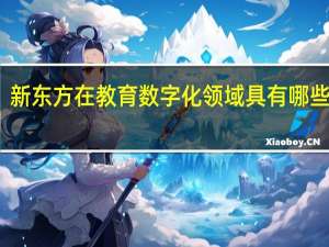 新东方在教育数字化领域具有哪些优势