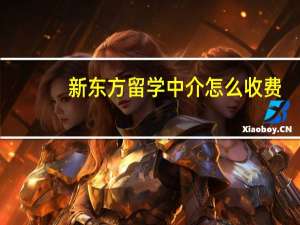 新东方留学中介怎么收费