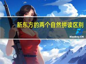 新东方的两个自然拼读区别