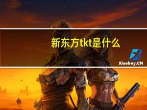新东方tkt是什么