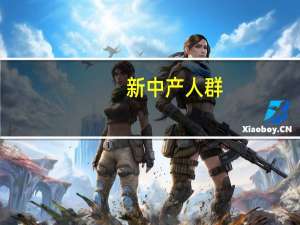新中产人群（新中产）