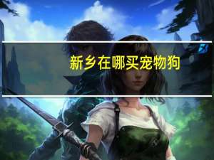 新乡在哪买宠物狗